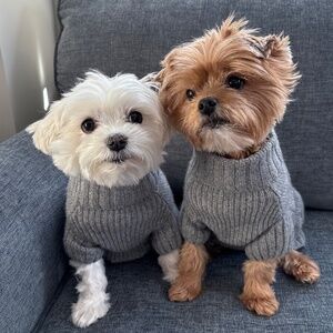 Authentic High Quality Designer Jewelry